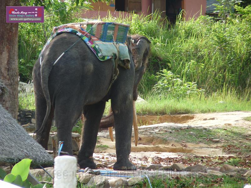 090410sm_langkawi_P1040113.JPG