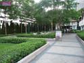 100701jw_tst_P1040838