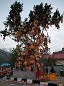 taipo good wish tree