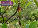 0701_DSCF0244