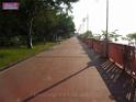 taipo