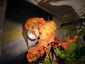090301sm_academy_p_art_P1030296