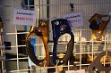 081026cas_oday_DSC_0152