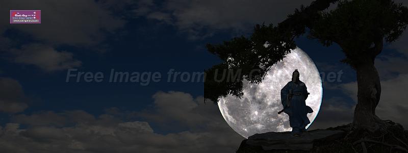 20140820moon-walker-3x8ft.jpg