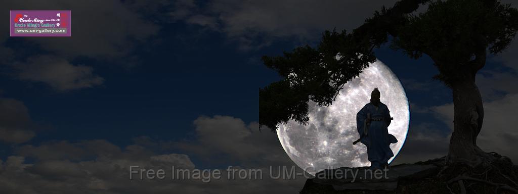 20140820moon-walker-3x8ft.jpg