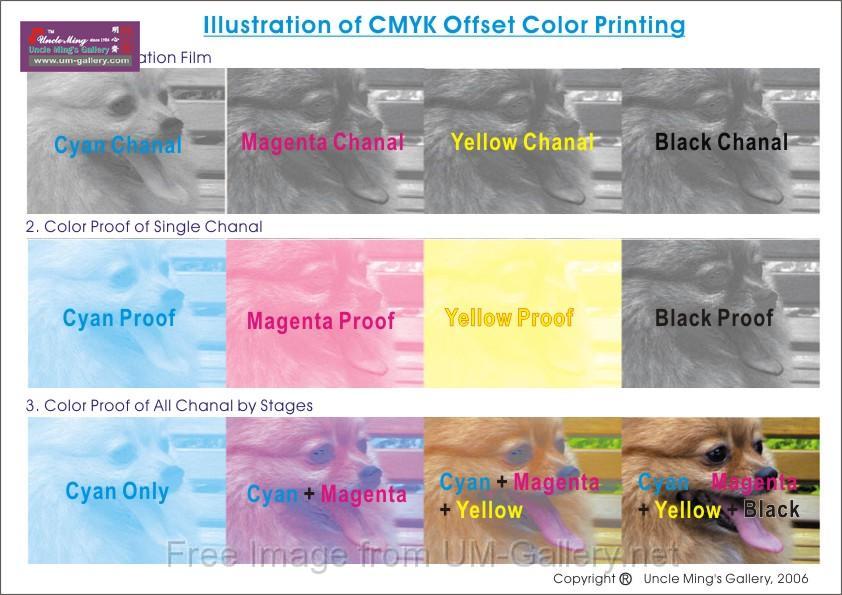 cmyk_screening_web.jpg