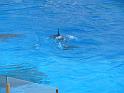 081215jw_o_park_p1160312