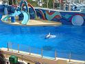 081215sm_o_park_P1010614
