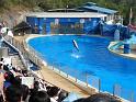 081215sm_o_park_P1010615