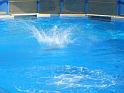 081215sm_o_park_P1010616