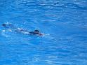 081215sm_o_park_P1010619