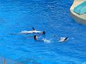 081215sm_o_park_P1010622