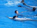 081215sm_o_park_P1010624