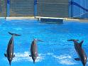 081215sm_o_park_P1010632