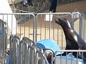 081215sm_o_park_P1010634