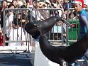 081215sm_o_park_P1010636