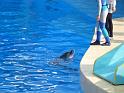 081215sm_o_park_P1010638