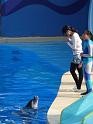 081215sm_o_park_P1010641