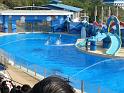 081215sm_o_park_P1010646