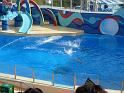 081215sm_o_park_P1010647