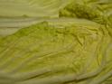 09jan_sm_vancouver_P1020340