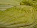 09jan_sm_vancouver_P1020341