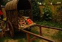 100327_floral_exhi_DSC_0072