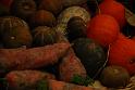 100327_floral_exhi_DSC_0073