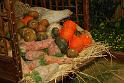 100327_floral_exhi_DSC_0074