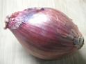 20130407sm_science_park_DSCF1298