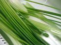 20130407sm_science_park_DSCF1300