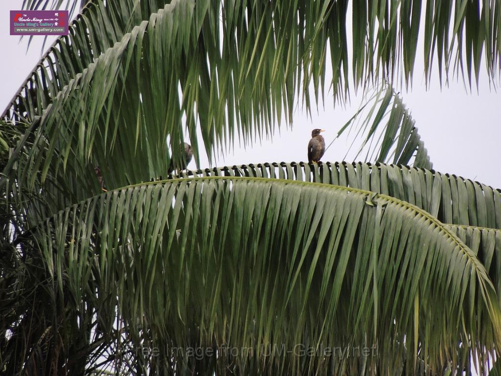 201309vol02-sf-singapore-DSCN6701.JPG