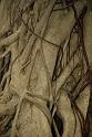 100327_floral_exhi_DSC_0105